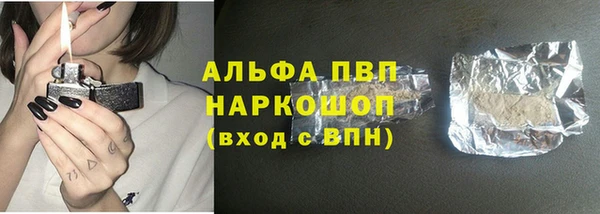 крисы Алексин