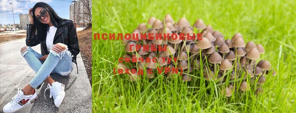 крисы Алексин
