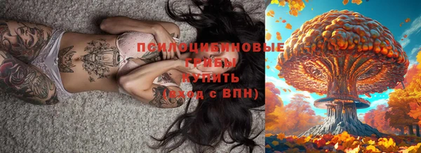 крисы Алексин