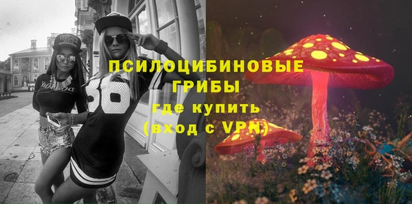 бошки Алзамай
