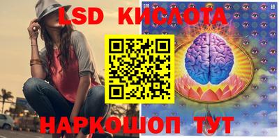 стаф Можга