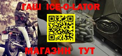 стаф Можга