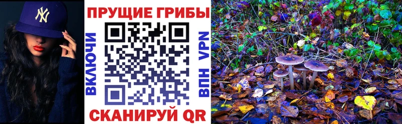 Псилоцибиновые грибы прущие грибы  Электрогорск 